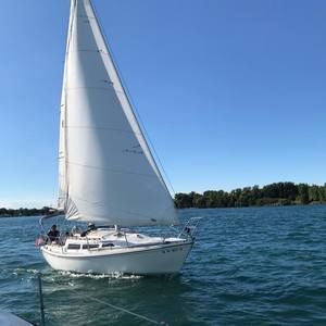 Meet your Posher, Renee